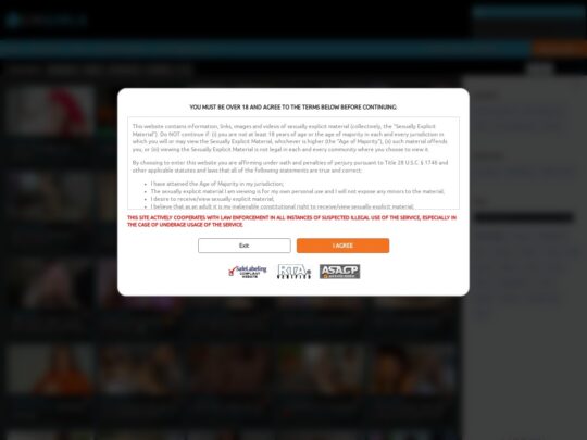 Camgirlspin